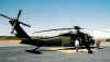 GuardHelocopter.jpg (39067 bytes)