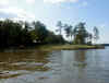 riverpark5_99.jpg (243814 bytes)
