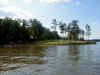 riverpark5_99.jpg (113276 bytes)